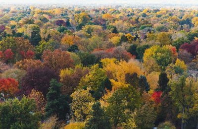 pexels-brett-sayles-1546651