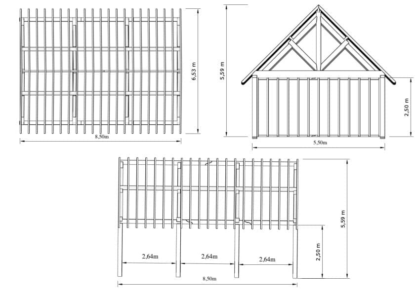 Annexe Douglas Strasbourg – Allure imposante en bois massif – 8,5 m x 5,5 m – Image 2